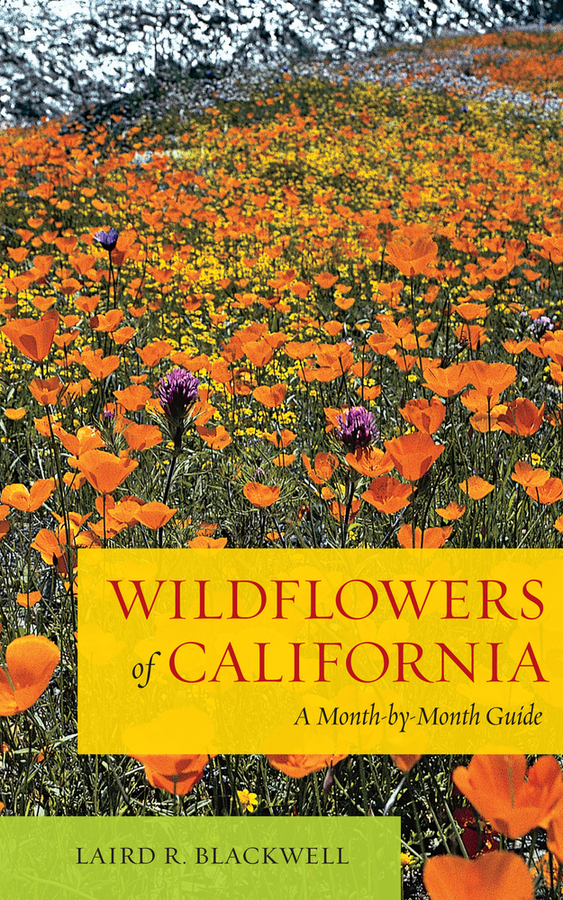 Wildflowers of California: A Month-by-Month Guide