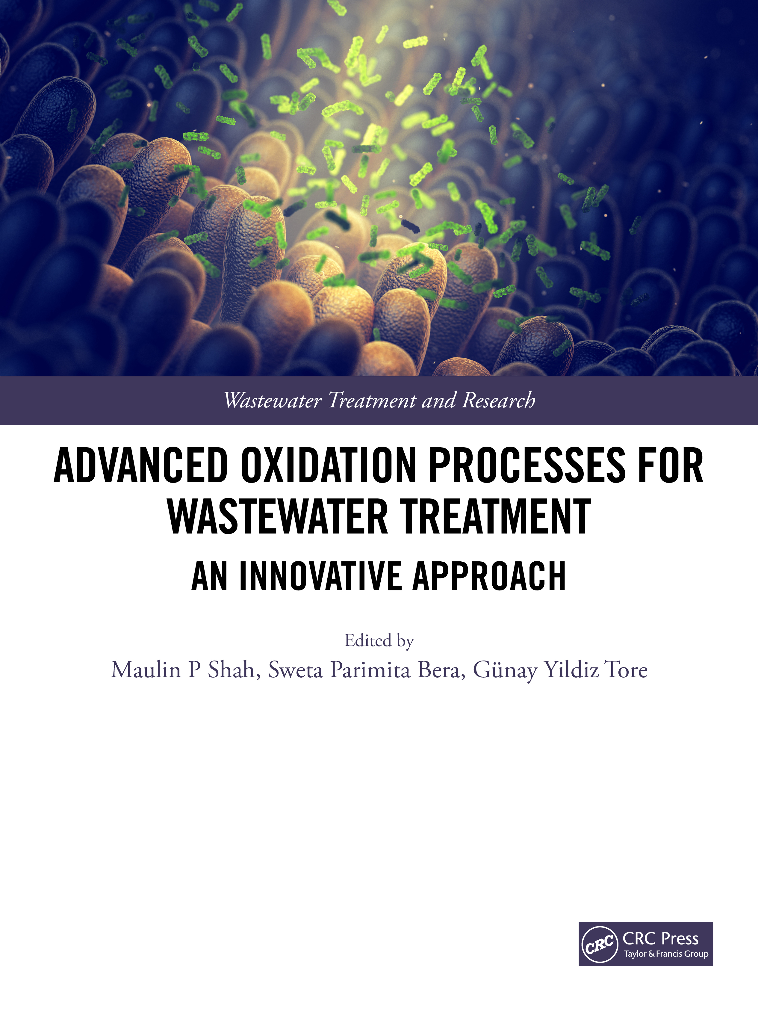 Advanced Oxidation Processes for Wastewater Treatment: An Innovative Approach(Wastewater Treatment and Research)