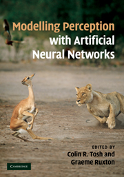 Modelling Perception with Artificial Neural Networks