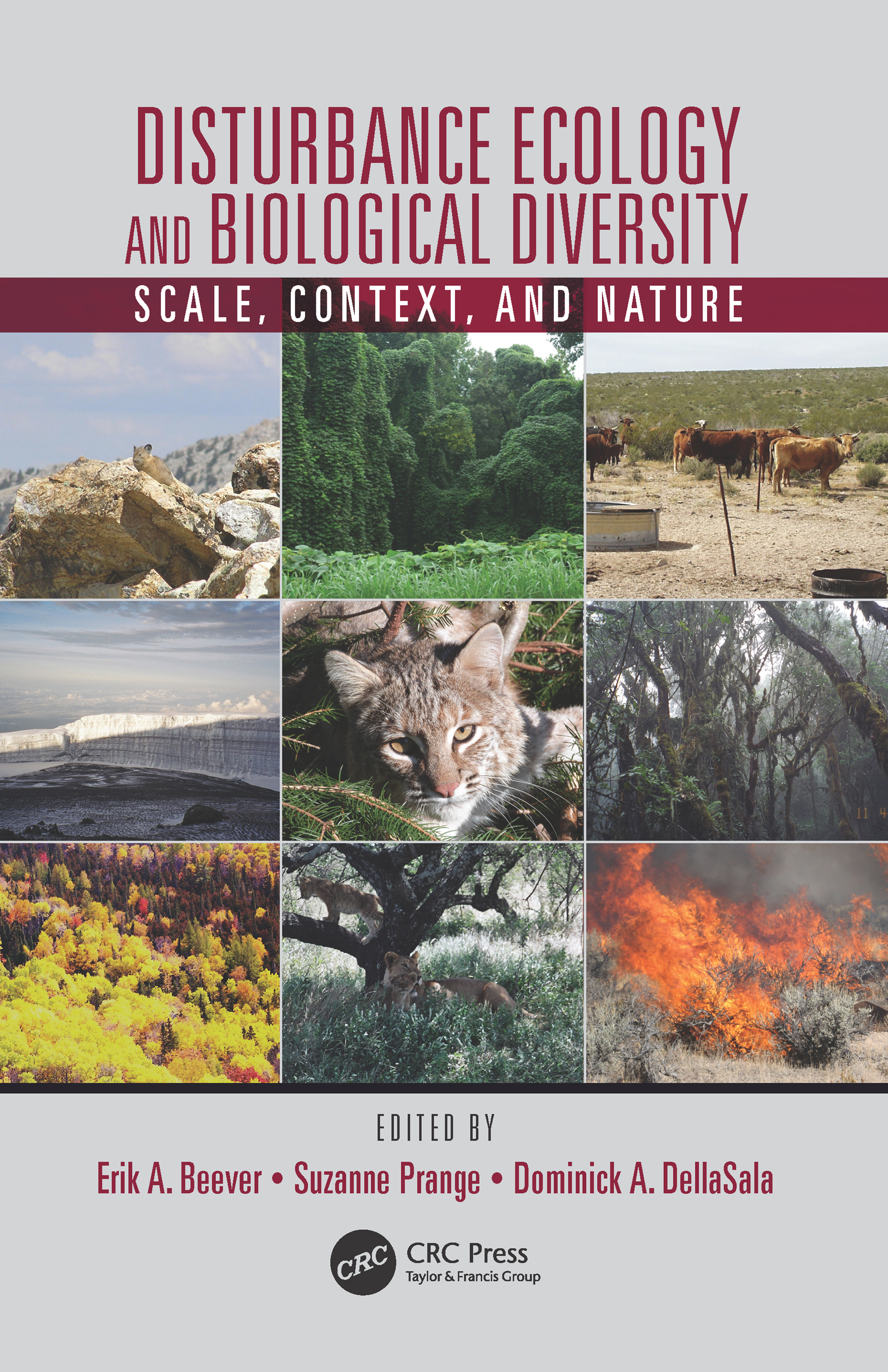 Disturbance Ecology and Biological Diversity: Context, Nature, and Scale