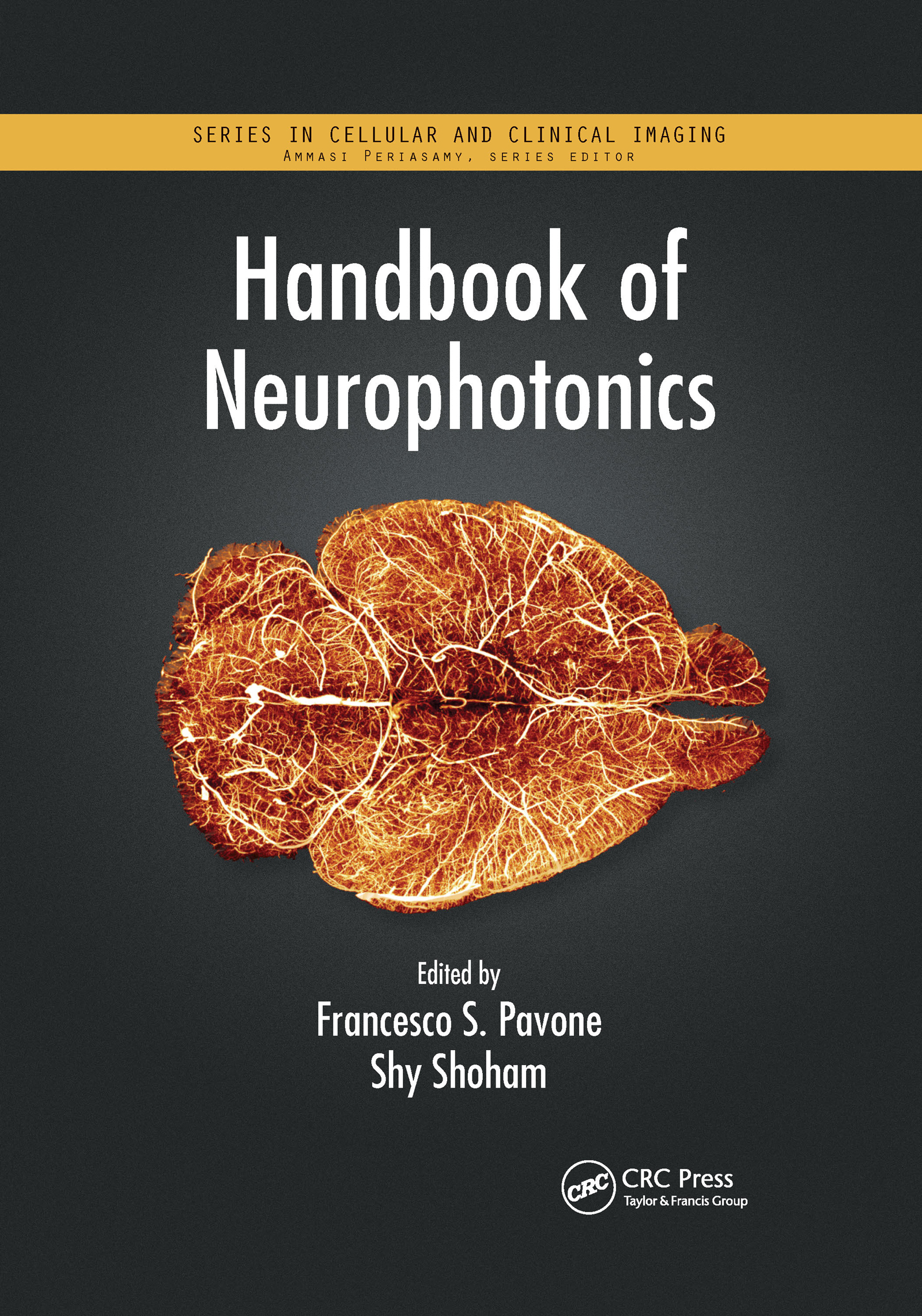 Handbook of Neurophotonics: (Series in Cellular and Clinical Imaging)