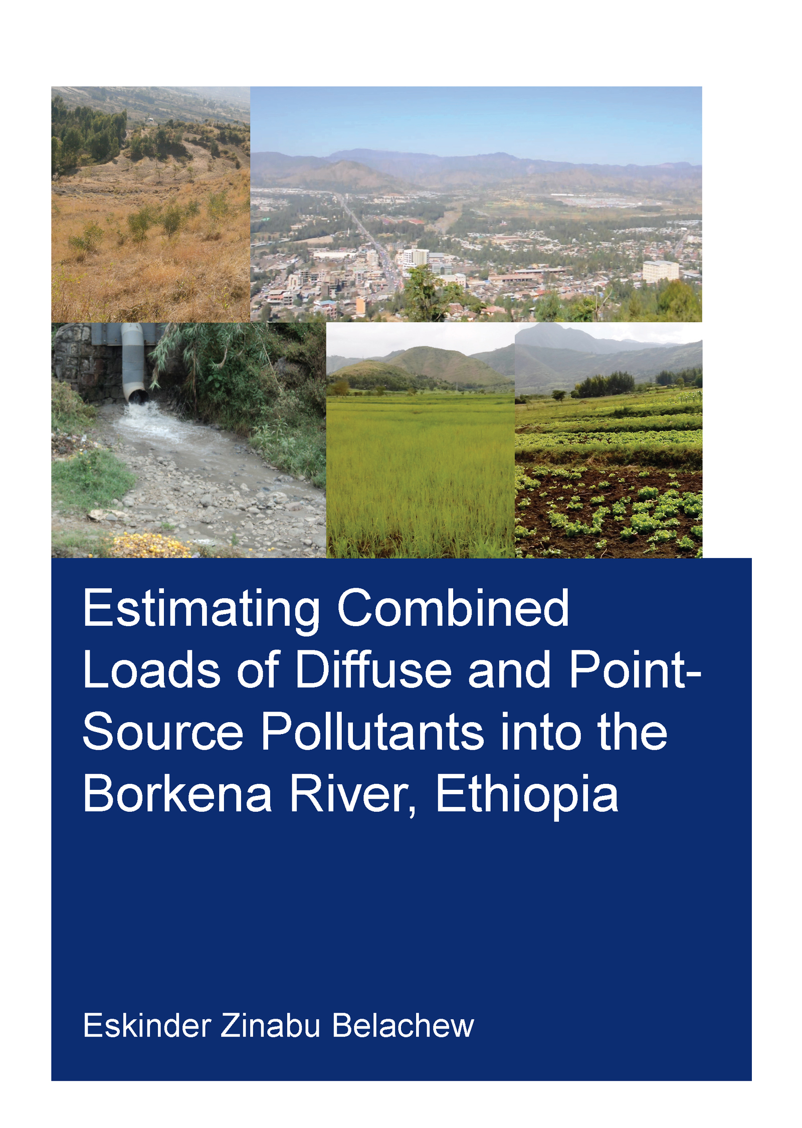 Estimating Combined Loads of Diffuse and Point-Source Pollutants into the Borkena River, Ethiopia: (IHE Delft PhD Thesis Series)