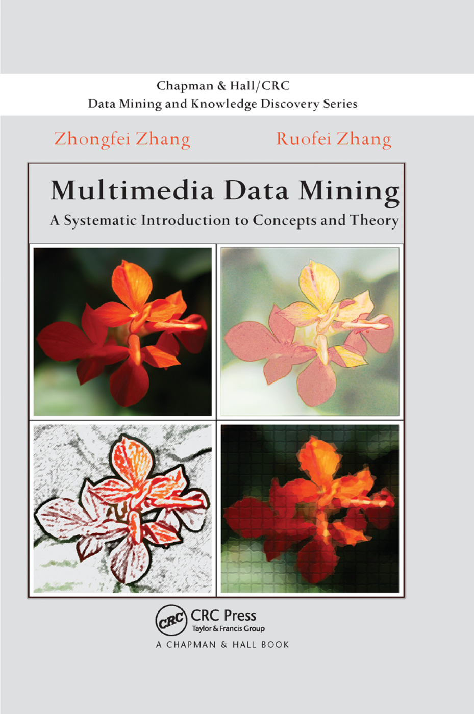 Multimedia Data Mining: A Systematic Introduction to Concepts and Theory(Chapman & Hall/CRC Data Mining and Knowledge Discovery Series)