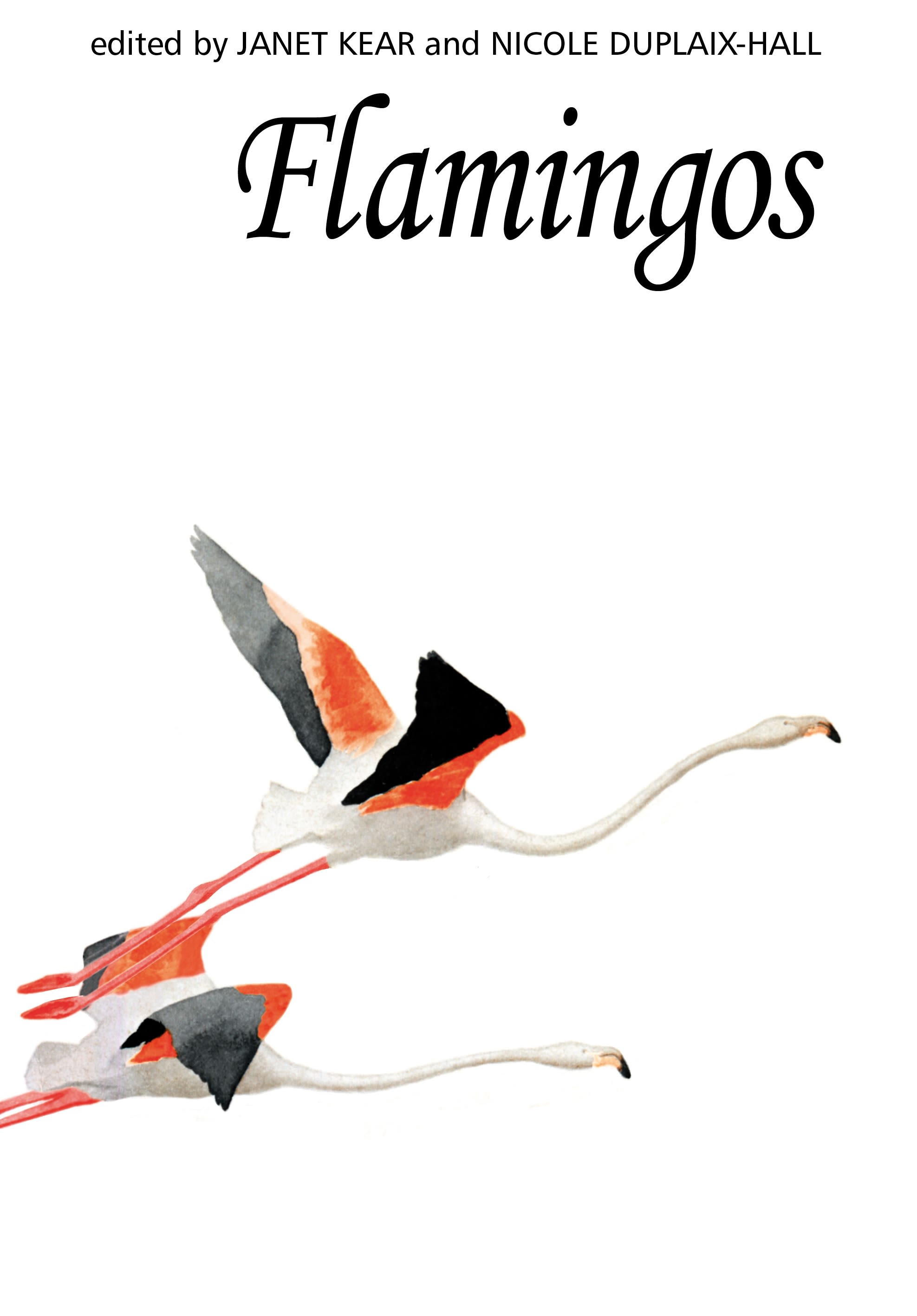 Flamingos: (Poyser Monographs)