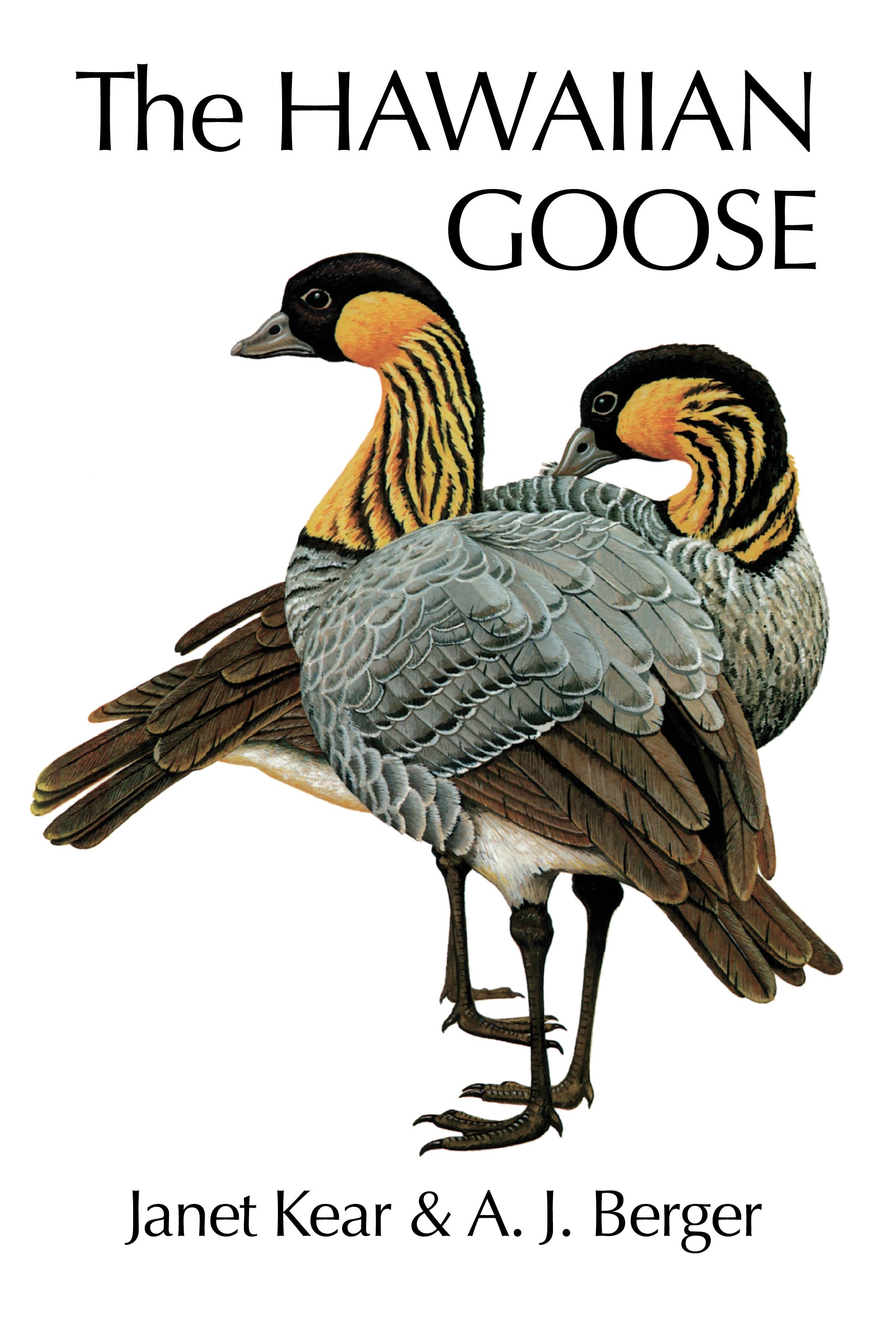 The Hawaiian Goose: (Poyser Monographs)