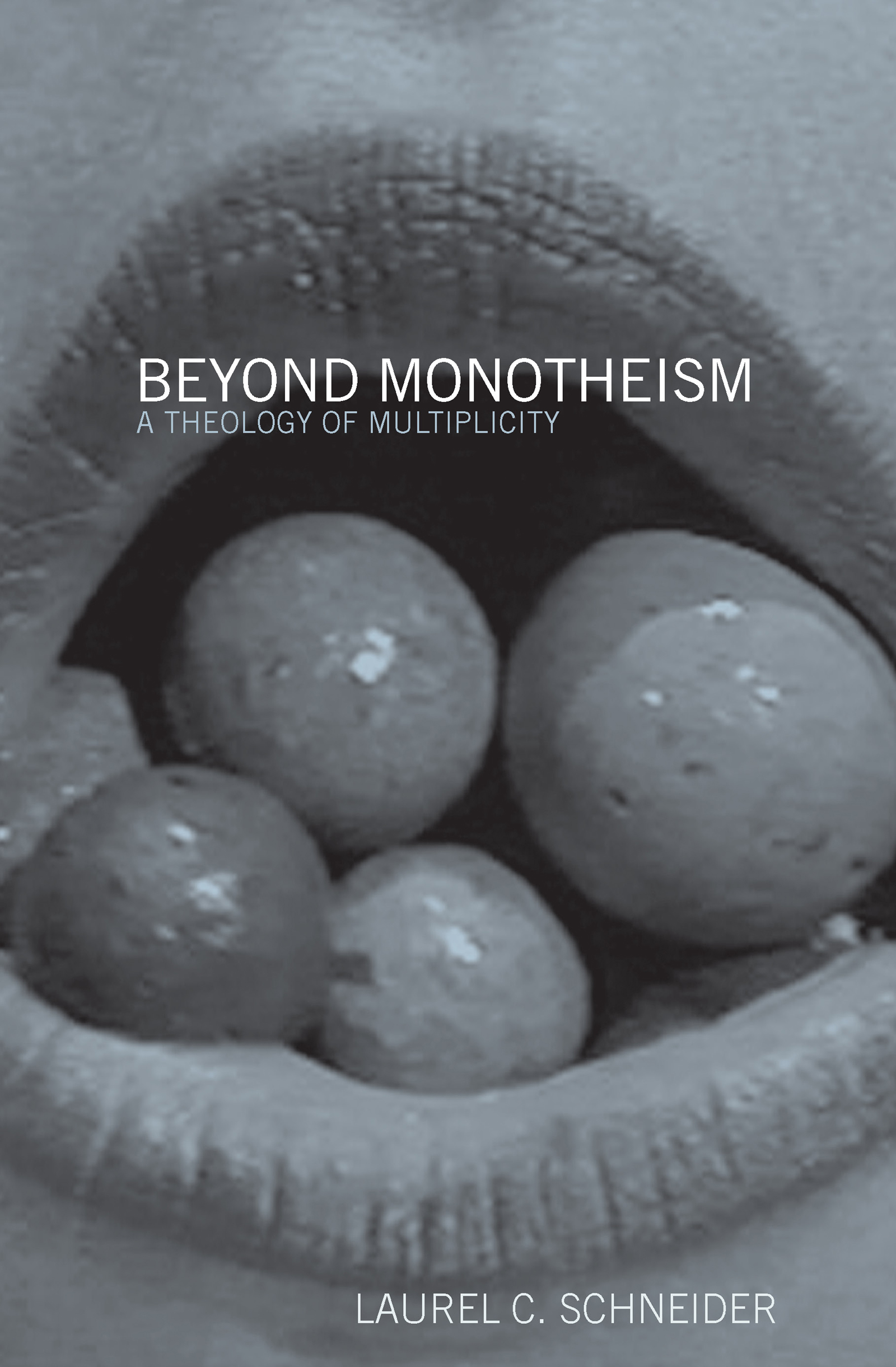 Beyond Monotheism: A theology of multiplicity