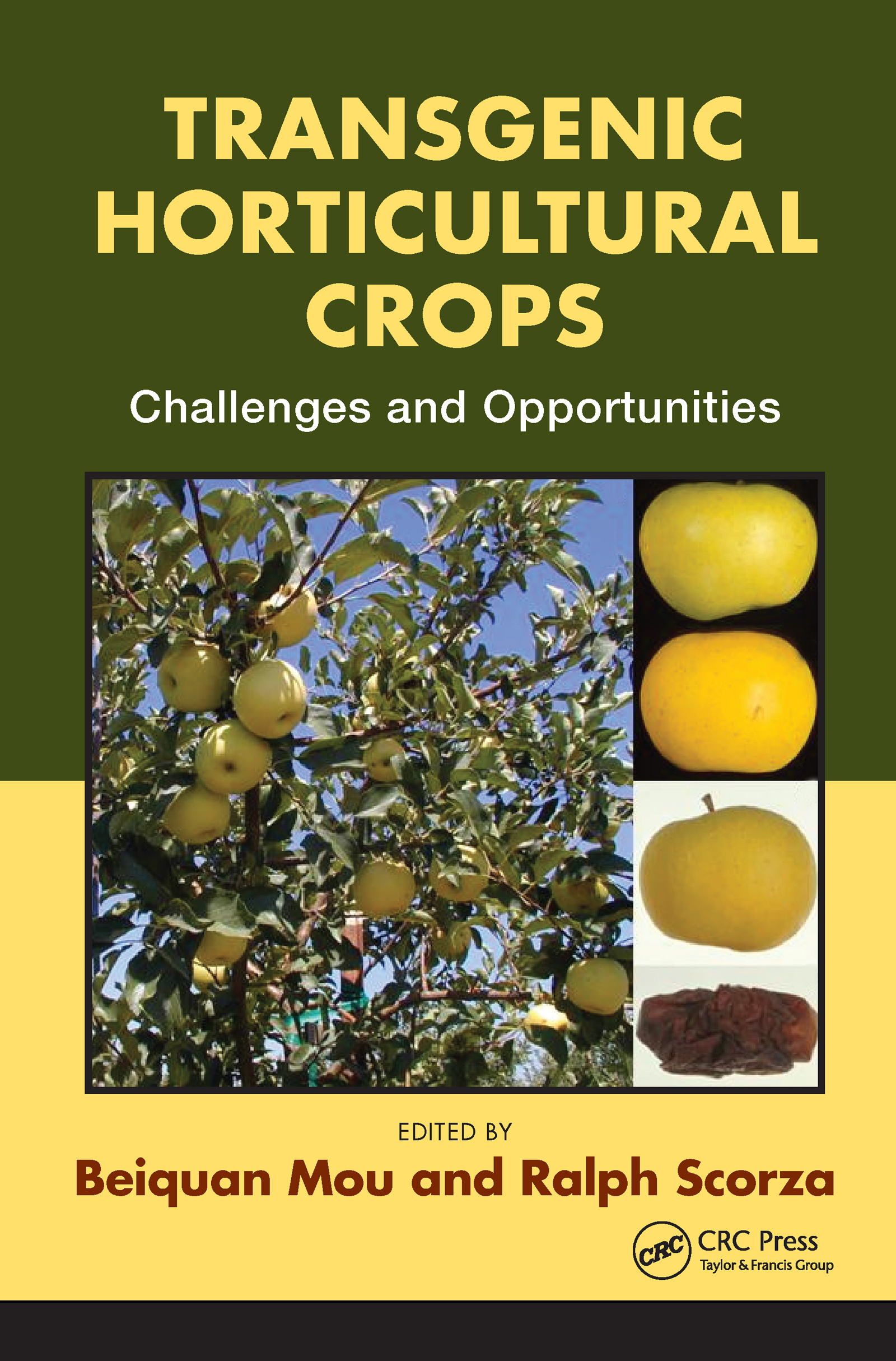 Transgenic Horticultural Crops: Challenges and Opportunities