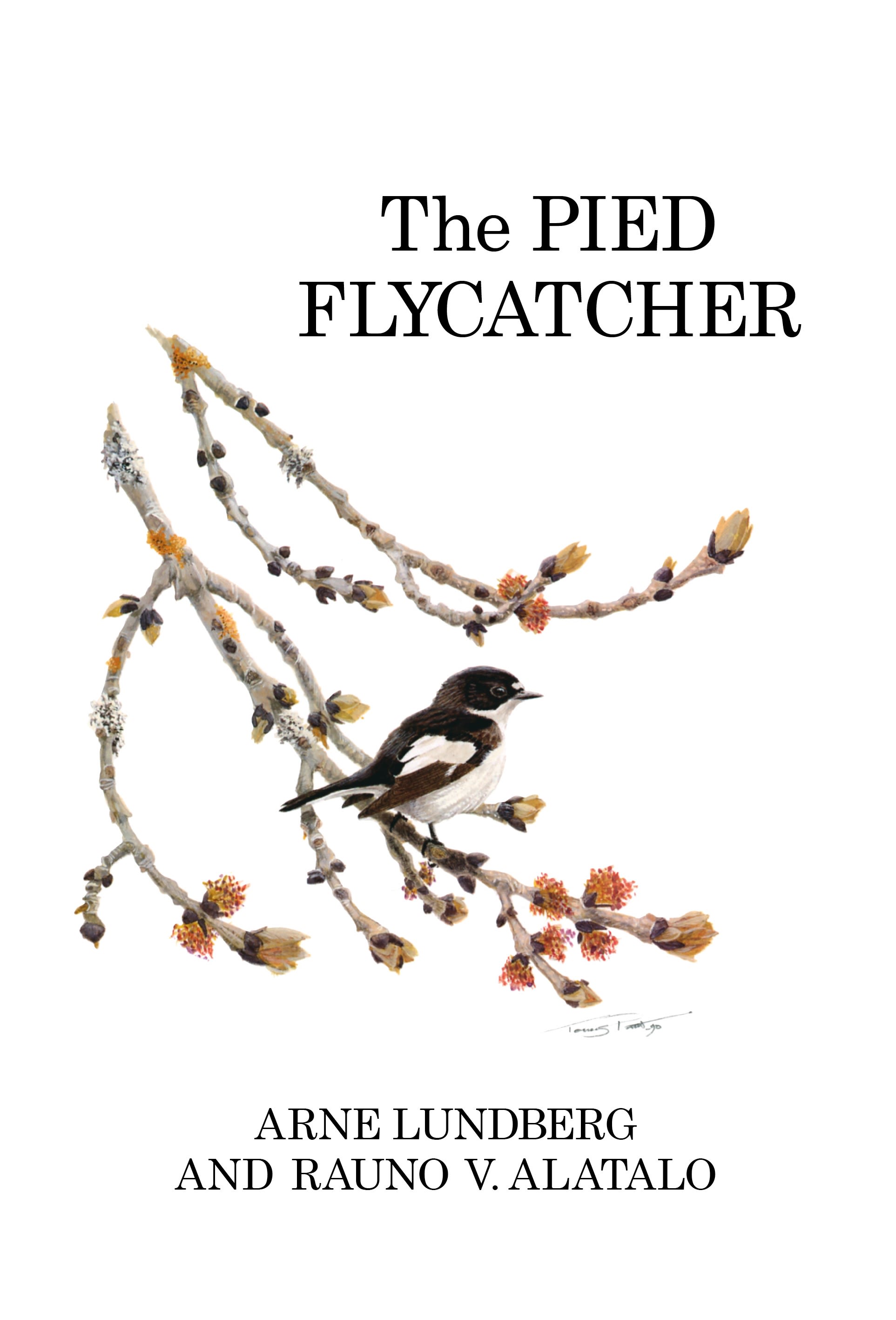 The Pied Flycatcher: (Poyser Monographs)
