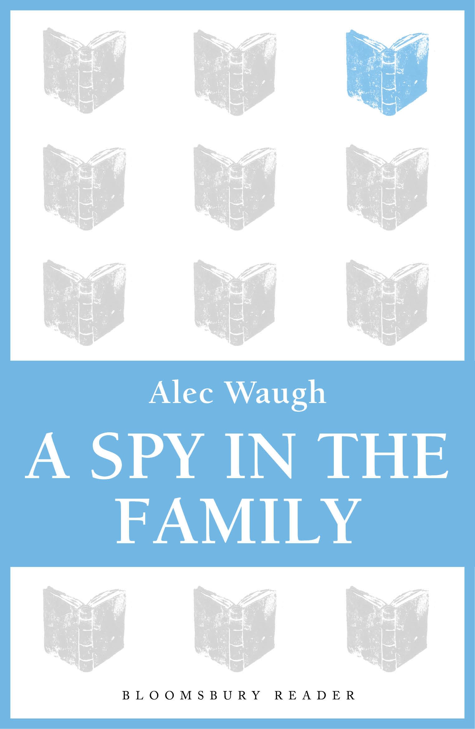 A Spy in the Family: An Erotic Comedy