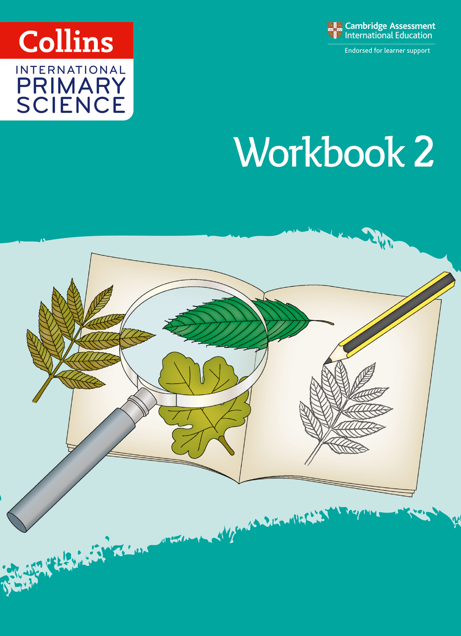 International Primary Science Workbook: Stage 2: (Collins International Primary Science)