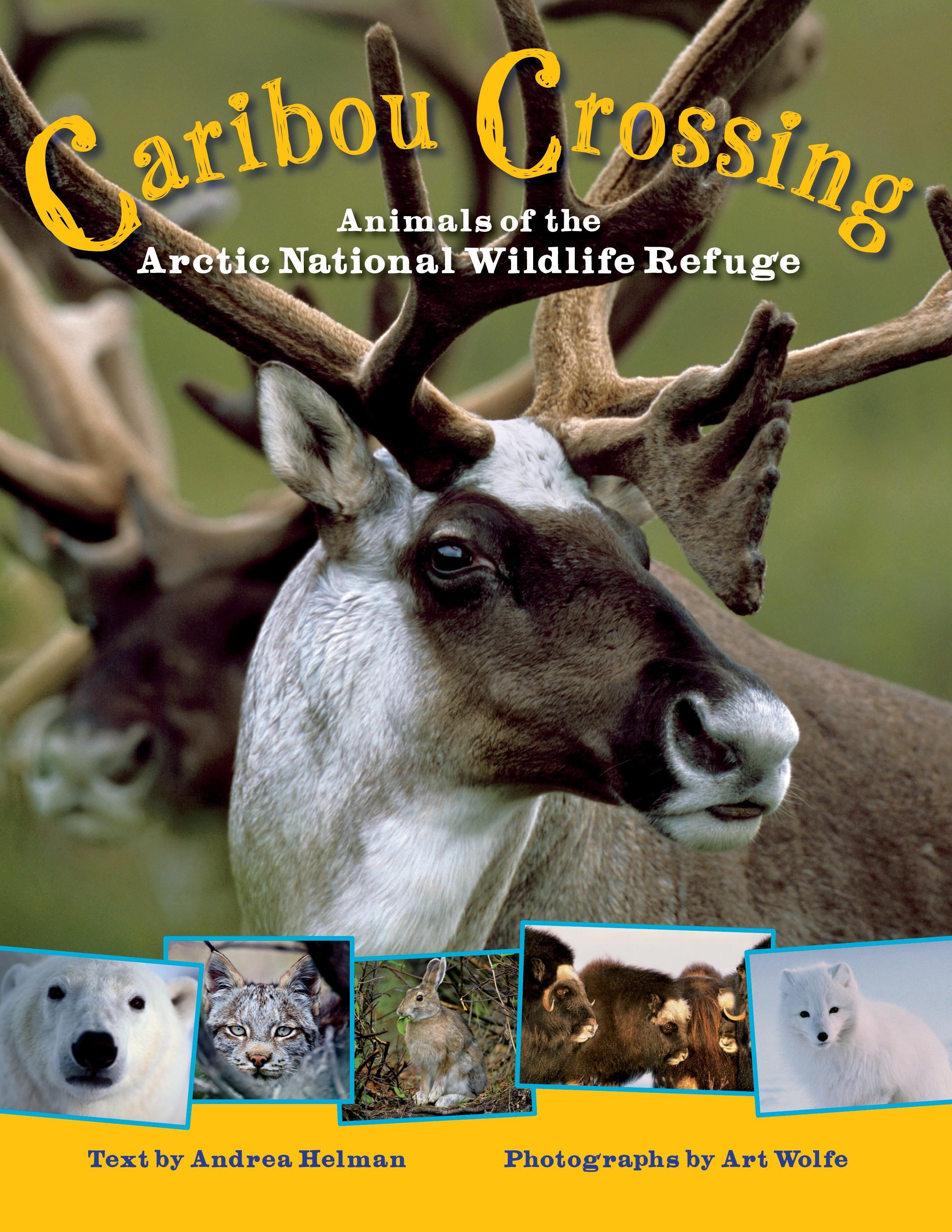 Caribou Crossing