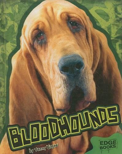 Bloodhounds: (All about Dogs)