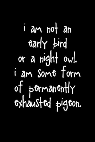 I Am Not An Early Bird Or Night Owl: Funny Gift For Tired Parents New Parents New Born Baby Gift 6 x 9" 120 Page(5 Positive Vibe Gifts)