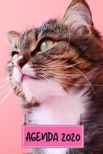 Agenda 2020