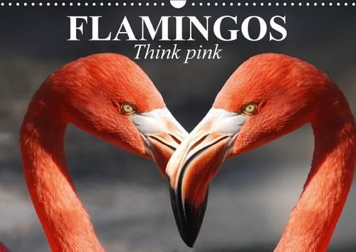 Flamingos Think Pink 2017: These Beauties Have Long Fascinated People(Calvendo Animals)