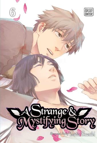 Strange & Mystifying Story, Vol. 6: Volume 6(A Strange and Mystifying Story)