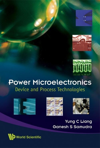 Power Microelectronics: Device And Process Technologies