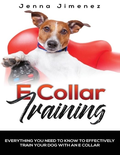 E Collar Training: Everything You Need To Know To Effectively Train Your Dog With An E Collar