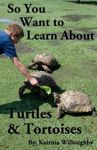 So You Want to Learn About Turtles & Tortoises: (2 So You Want to Learn about)