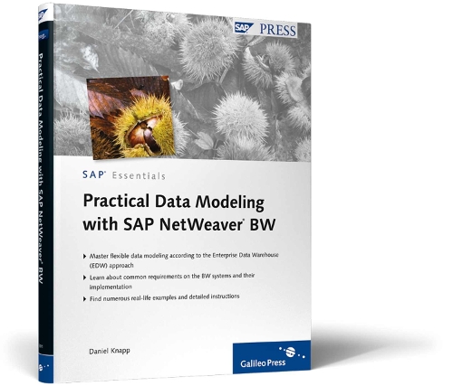 Practical Data Modeling with SAP NetWeaver BW: Data Modeling in SAP NetWeaver BW using the Corporate Information Factory