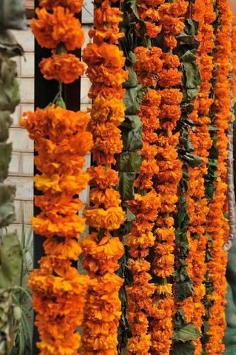 Flowers in Hanging Garlands: Blank 150 Page Lined Journal for Your Thoughts, Ideas, and Inspiration