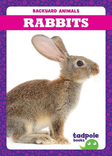 Rabbits: (Backyard Animals)