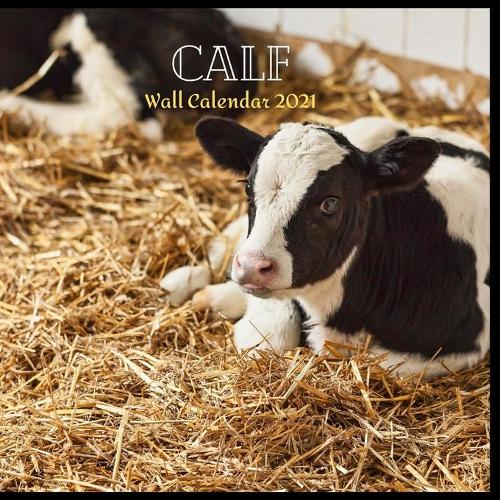 Calf Wall Calendar 2021