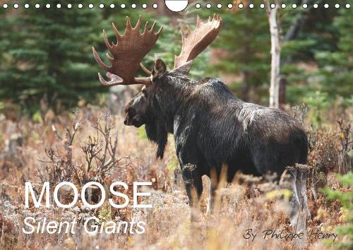MOOSE / UK-Version 2019: Silent Giants(Calvendo Animals)