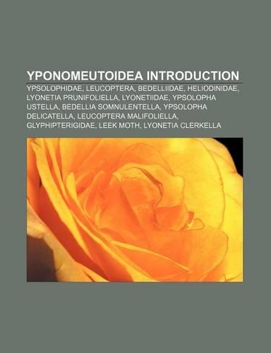 Yponomeutoidea Introduction