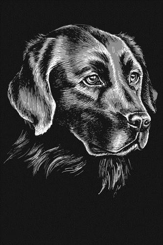 Labrador Retriever Notebook: Blank Lined Journal, Softcover (6x9 Inches) with 120 Pages