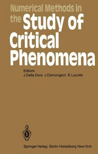 Numerical Methods in the Study of Critical Phenomena: Proceedings of a Colloquium, Carry-le-Rouet, France, June 2–4, 1980(9 Springer Series in Synergetics)