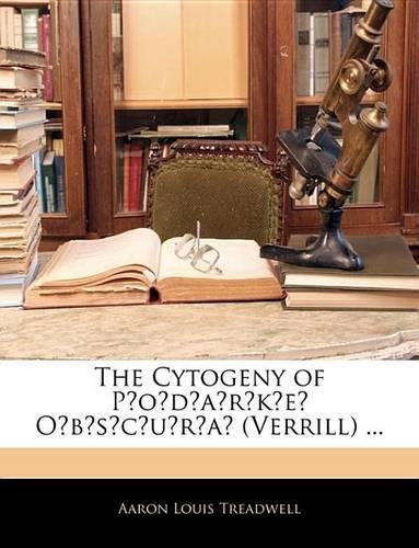The Cytogeny of P O D A R K E O B S C U R a (Verrill) ...