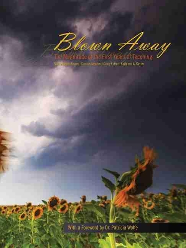 Blown Away: The Magnitude of the First Years of Teaching - eBook