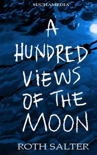 A Hundred Views of the Moon