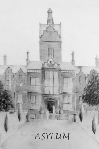 Asylum: Poetry by Danielle Matthews