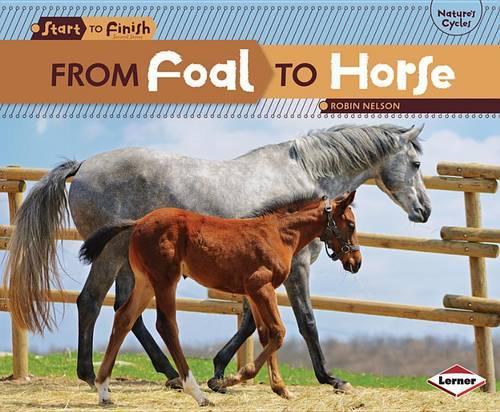 From Foal to Horse: (Start to Finish, Second Series)
