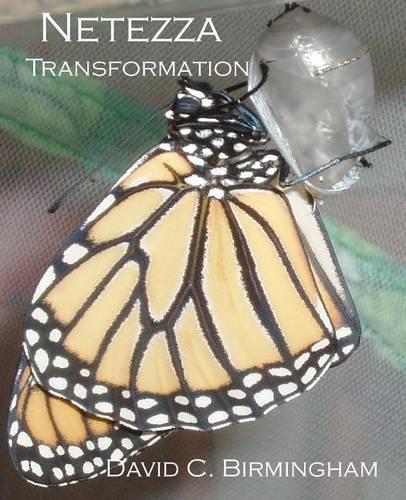 Netezza Transformation: Taming the dragon without alchemy, sorcery or strange potions