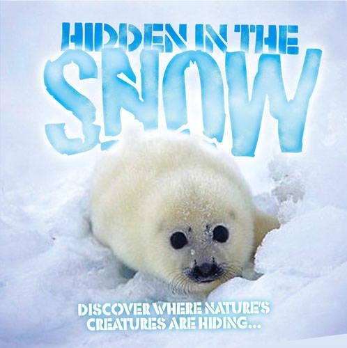 Hidden in the Snow: (Animal Seasons)