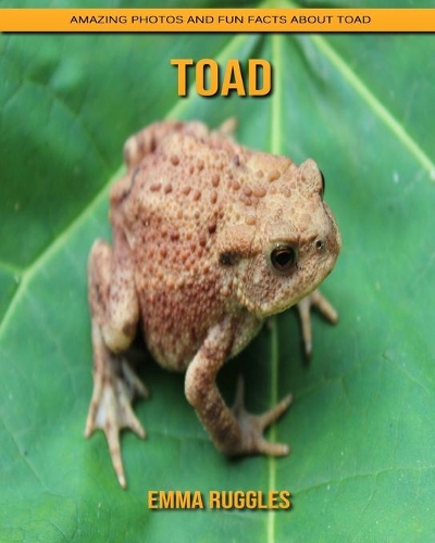 Toad: Amazing Photos and Fun Facts about Toad