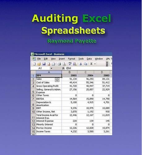 Auditing Excel Spreadsheets