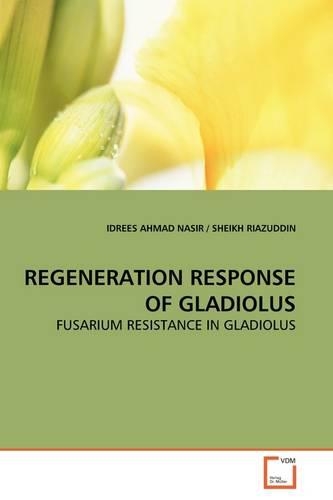 Regeneration Response of Gladiolus