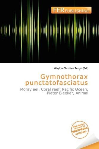 Gymnothorax Punctatofasciatus