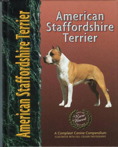 American Staffordshire Terrier
