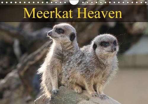 Meerkat Heaven 2017: Meerkats Basking in the Morning Sunshine(Calvendo Animals)