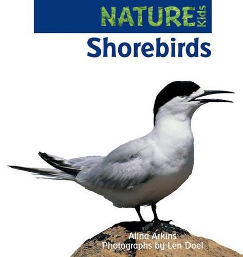 Shorebirds (Nature Kids Series): (Nature Kids Series)