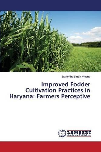 Improved Fodder Cultivation Practices in Haryana