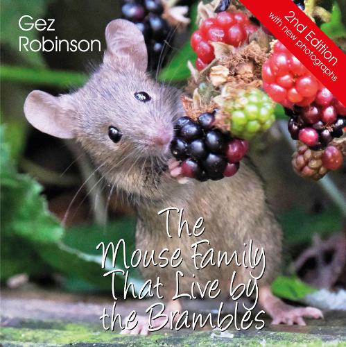 The Mouse Family That Live By The Brambles