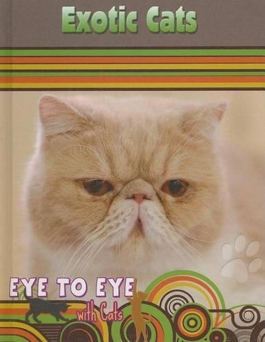 Exotic Cats