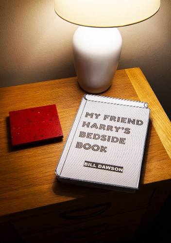 My Friend Harry's Bedtime Book