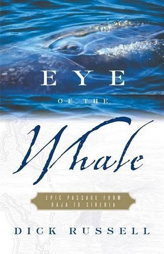 Eye of the Whale